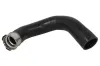 Ladeluftschlauch THERMOTEC DCV061TT