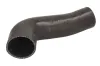 Ladeluftschlauch Ladeluftkühler rechts THERMOTEC DCV078TT