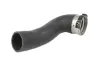 Ladeluftschlauch Vorderachse links unten THERMOTEC DCW219TT