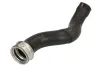 Ladeluftschlauch links THERMOTEC DCW235TT Bild Ladeluftschlauch links THERMOTEC DCW235TT
