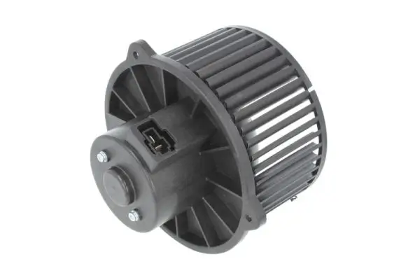 Innenraumgebläse 12 V THERMOTEC DDX007TT