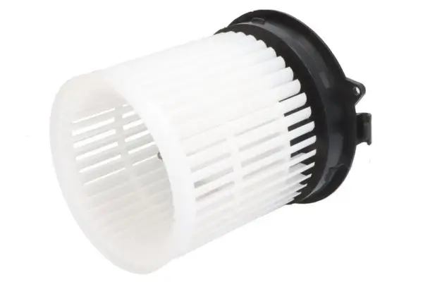 Innenraumgebläse 12 V THERMOTEC DD1007TT