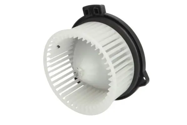Innenraumgebläse 12 V THERMOTEC DD2005TT