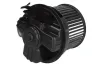 Innenraumgebläse 12 V THERMOTEC DD2008TT Bild Innenraumgebläse 12 V THERMOTEC DD2008TT