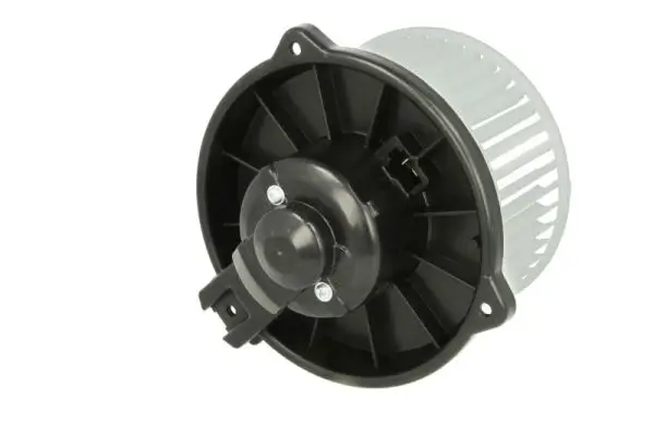 Elektromotor, Innenraumgebläse 12 V THERMOTEC DD4002TT