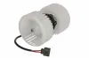 Innenraumgebläse 12 V THERMOTEC DDA008TT Bild Innenraumgebläse 12 V THERMOTEC DDA008TT