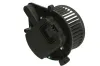 Innenraumgebläse 12 V THERMOTEC DDA013TT Bild Innenraumgebläse 12 V THERMOTEC DDA013TT