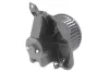 Innenraumgebläse 12 V THERMOTEC DDF009TT Bild Innenraumgebläse 12 V THERMOTEC DDF009TT