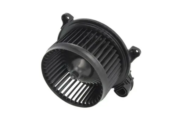 Innenraumgebläse 12 V THERMOTEC DDG008TT