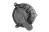 Innenraumgebläse 12 V THERMOTEC DDG008TT Bild Innenraumgebläse 12 V THERMOTEC DDG008TT