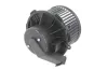 Innenraumgebläse 12 V THERMOTEC DDM026TT Bild Innenraumgebläse 12 V THERMOTEC DDM026TT