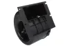 Innenraumgebläse 12 V THERMOTEC DDM033TT Bild Innenraumgebläse 12 V THERMOTEC DDM033TT