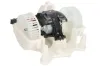 Innenraumgebläse 12 V THERMOTEC DDM034TT Bild Innenraumgebläse 12 V THERMOTEC DDM034TT