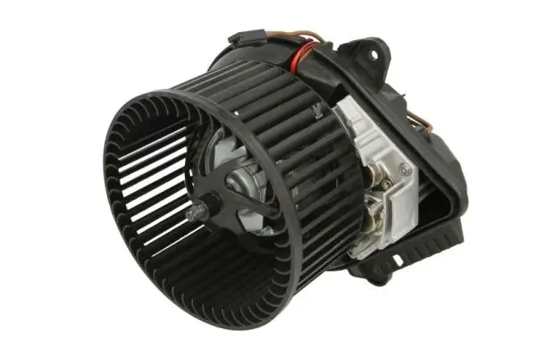 Elektromotor, Innenraumgebläse 12 V THERMOTEC DDP011TT