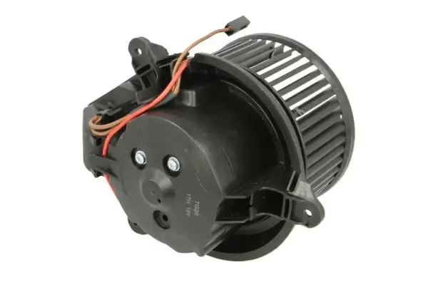 Elektromotor, Innenraumgebläse 12 V THERMOTEC DDP011TT Bild Elektromotor, Innenraumgebläse 12 V THERMOTEC DDP011TT