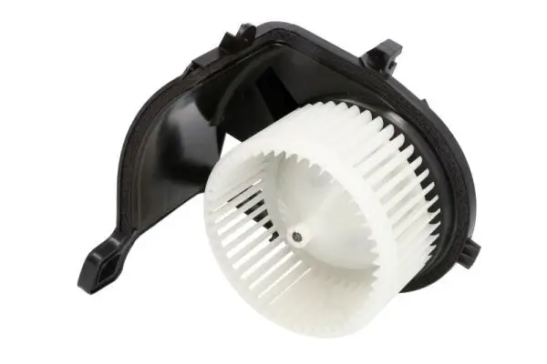 Innenraumgebläse 12 V THERMOTEC DDR017TT