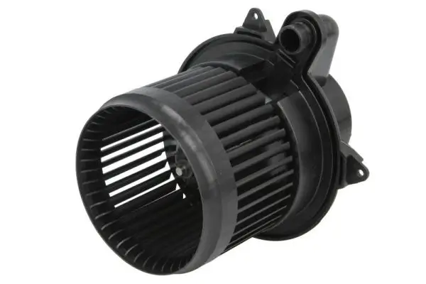 Innenraumgebläse 12 V THERMOTEC DDR032TT