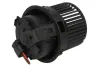 Innenraumgebläse 12 V THERMOTEC DDR037TT Bild Innenraumgebläse 12 V THERMOTEC DDR037TT