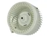 Innenraumgebläse 12 V THERMOTEC DDV001TT