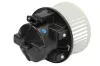 Innenraumgebläse 12 V THERMOTEC DDV003TT Bild Innenraumgebläse 12 V THERMOTEC DDV003TT