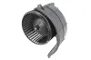 Innenraumgebläse 12 V THERMOTEC DDW015TT Bild Innenraumgebläse 12 V THERMOTEC DDW015TT