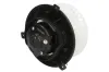 Innenraumgebläse 12 V THERMOTEC DDX018TT Bild Innenraumgebläse 12 V THERMOTEC DDX018TT