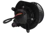Innenraumgebläse 12 V THERMOTEC DDY007TT Bild Innenraumgebläse 12 V THERMOTEC DDY007TT