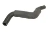 Schlauch, Wärmetauscher (Heizung) Ausgang THERMOTEC DN0509TT