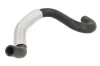 Kühlerschlauch Ausgang THERMOTEC DN0515TT