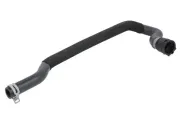 Kühlerschlauch THERMOTEC DNB010TT
