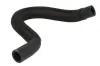 Schlauch, Wärmetauscher (Heizung) THERMOTEC DNC010TT