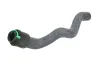 Schlauch, Wärmetauscher (Heizung) Eingang THERMOTEC DNX034TT