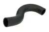 Kühlerschlauch oben THERMOTEC DW0301TT