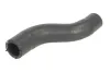 Kühlerschlauch THERMOTEC DW0577TT