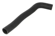 Kühlerschlauch THERMOTEC DW0580TT