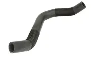 Kühlerschlauch unten THERMOTEC DW5001TT