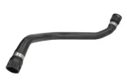 Kühlerschlauch unten THERMOTEC DWB023TT