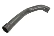Kühlerschlauch unten THERMOTEC DWB030TT
