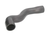 Kühlerschlauch oben THERMOTEC DWB039TT
