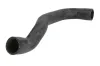 Kühlerschlauch rechts THERMOTEC DWB049TT