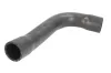 Kühlerschlauch oben THERMOTEC DWB069TT