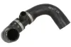 Kühlerschlauch THERMOTEC DWB205TT