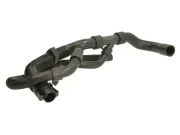 Kühlerschlauch unten THERMOTEC DWC015TT