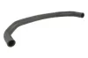 Kühlerschlauch unten THERMOTEC DWC048TT