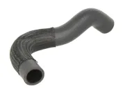 Kühlerschlauch oben THERMOTEC DWC072TT
