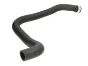 Kühlerschlauch unten THERMOTEC DWC080TT