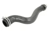 Kühlerschlauch THERMOTEC DWC124TT