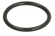 Dichtring, Kühlmittelrohrleitung THERMOTEC DWC154TT
