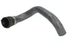K&uuml;hlerschlauch oben THERMOTEC DWD011TT