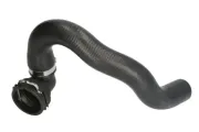 Kühlerschlauch oben THERMOTEC DWF060TT